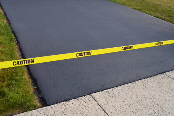 Best Driveway Drainage Solutions in Bement, IL